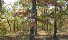 Lot 18 Rustic Ridge Drive Dr Mountain Home, AR 72653