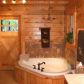 124 Pebble Creek Lane, Alto, GA 30510 ID:3442259