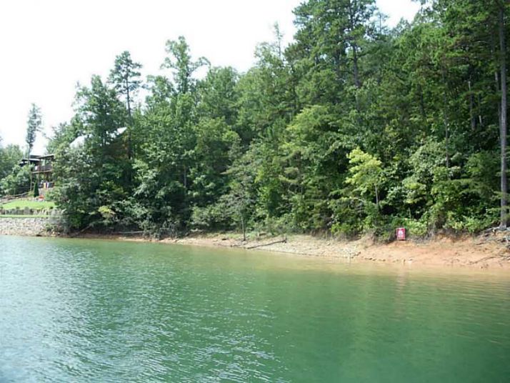 58 Arrowood Pointe, Blairsville, GA 30512