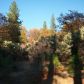 15722 Lower Colfax Rd, Grass Valley, CA 95945 ID:1137379