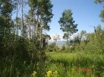 LOT 24 ASPEN WAY, Etna, WY 83118