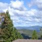 197 Ventana Springs, Grass Valley, CA 95945 ID:1137762