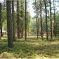 15330 Sunshine Springs Pl, Grass Valley, CA 95945 ID:1138046