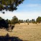 32 Frontier Reserve Ranch, Lusk, WY 82225 ID:3095765
