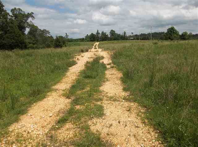 150 Wild Cherry Lane Ln, Bexar, AR 72515