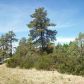 910 N. Beeline, Payson, AZ 85541 ID:1931916