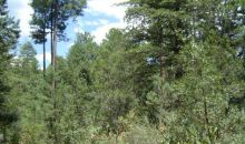 Lot 90 Tonto Creek Estates Payson, AZ 85541