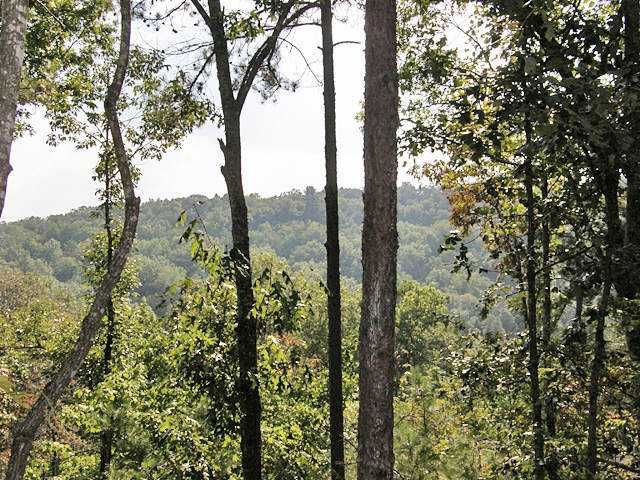 172 Choctaw Ridge, Jasper, GA 30143