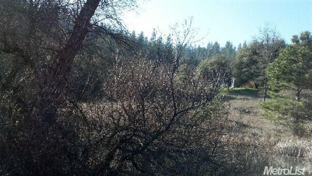 15842 Brewer Rd, Grass Valley, CA 95949