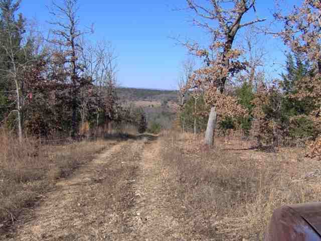 Off Mc 2081, Yellville, AR 72687