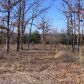 Off Mc 2081, Yellville, AR 72687 ID:1161233