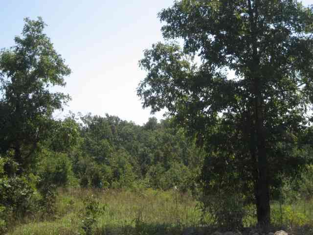 783 C.C., Ravenden Springs, AR 72460
