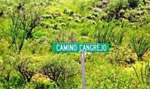 1652 Cangrejo Rio Rico, AZ 85648