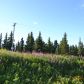 65240 Sterling Highway L28, Clam Gulch, AK 99568 ID:1109947