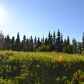 65240 Sterling Highway L28, Clam Gulch, AK 99568 ID:1109951