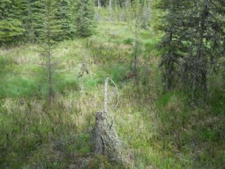 L2A B3 Meeks Street, Soldotna, AK 99669