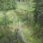 L2A B3 Meeks Street, Soldotna, AK 99669 ID:1081606