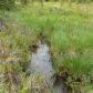 L2A B3 Meeks Street, Soldotna, AK 99669 ID:1081608