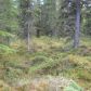 L2A B3 Meeks Street, Soldotna, AK 99669 ID:1081610