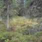 L2A B3 Meeks Street, Soldotna, AK 99669 ID:1081611