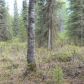 L2A B3 Meeks Street, Soldotna, AK 99669 ID:1081614