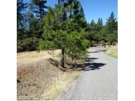 13279 Thoroughbred Loop, Grass Valley, CA 95949