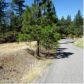 13279 Thoroughbred Loop, Grass Valley, CA 95949 ID:1147398