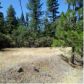 13279 Thoroughbred Loop, Grass Valley, CA 95949 ID:1147400