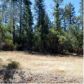 13279 Thoroughbred Loop, Grass Valley, CA 95949 ID:1147399