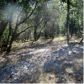 13279 Thoroughbred Loop, Grass Valley, CA 95949 ID:1147402