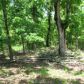 00 Bradford, Ravenden, AR 72459 ID:1169470