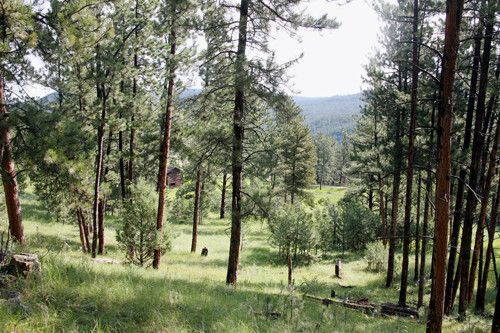 53 Breakneck Road, Newcastle, WY 82701