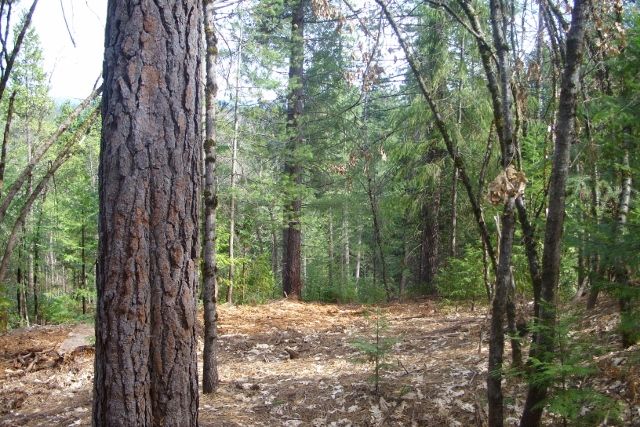 13605 Axle Court, Grass Valley, CA 95945