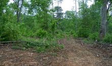 0 W Wren Road W Jasper, GA 30143