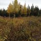 L6 Trapline Lane, Soldotna, AK 99669 ID:1081772