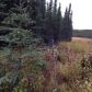 L6 Trapline Lane, Soldotna, AK 99669 ID:1081773