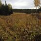 L6 Trapline Lane, Soldotna, AK 99669 ID:1081775