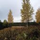 L6 Trapline Lane, Soldotna, AK 99669 ID:1081776