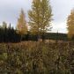 L6 Trapline Lane, Soldotna, AK 99669 ID:1081777