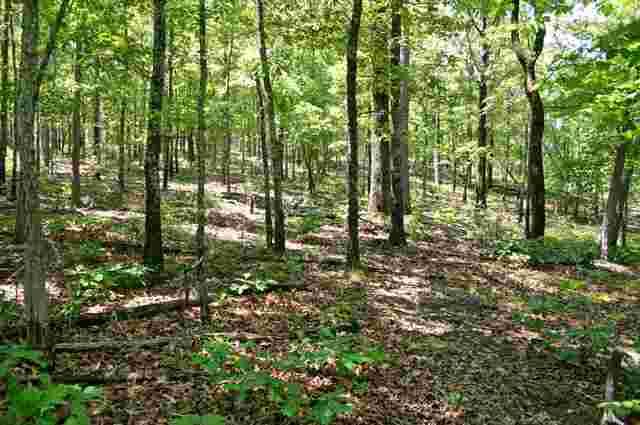 0 Hwy 56, Brockwell, AR 72517