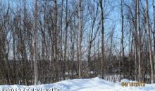 1176 W Airway Circle Wasilla, AK 99654