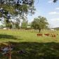 13885 Hwy 21, Ozone, AR 72854 ID:1153168