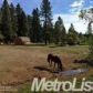 13684 Meadow View Drive, Grass Valley, CA 95945 ID:1137633