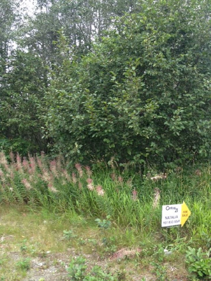 Lot 3 Gary Court, Nikiski, AK 99635