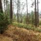 11289 E. Lime Kiln Rd, Grass Valley, CA 95949 ID:1147233