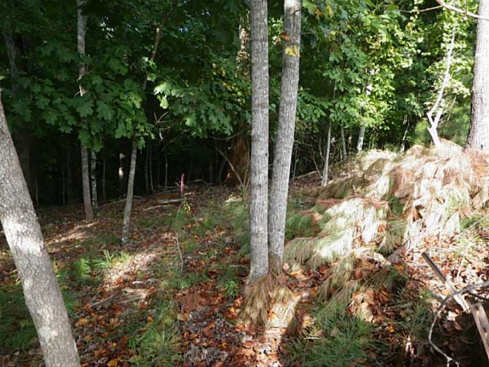 590 Settles Brook Court, Suwanee, GA 30024