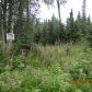 L1 B2 Susitna Avenue, Nikiski, AK 99635 ID:1079477