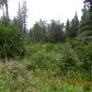 L1 B2 Susitna Avenue, Nikiski, AK 99635 ID:1079478