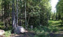 14058 W Kelli Jo Street Big Lake, AK 99652