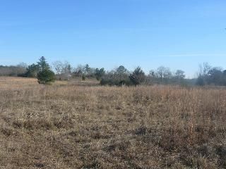 10506 S Hwy 431, Headland, AL 36345